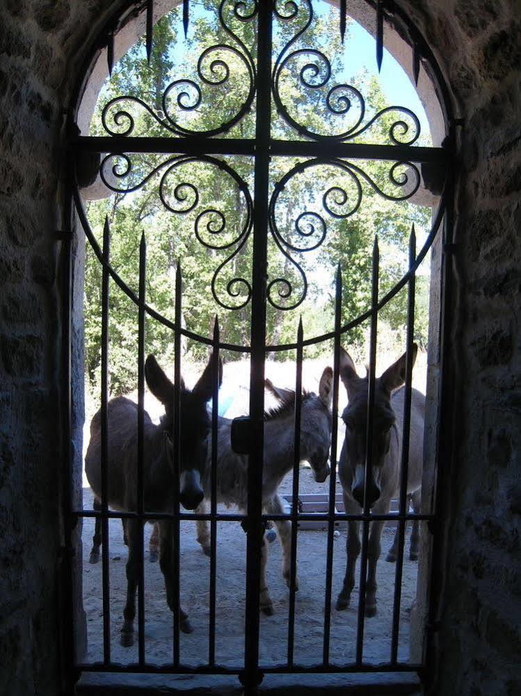 Une Campagne En Provence Bras Exterior photo